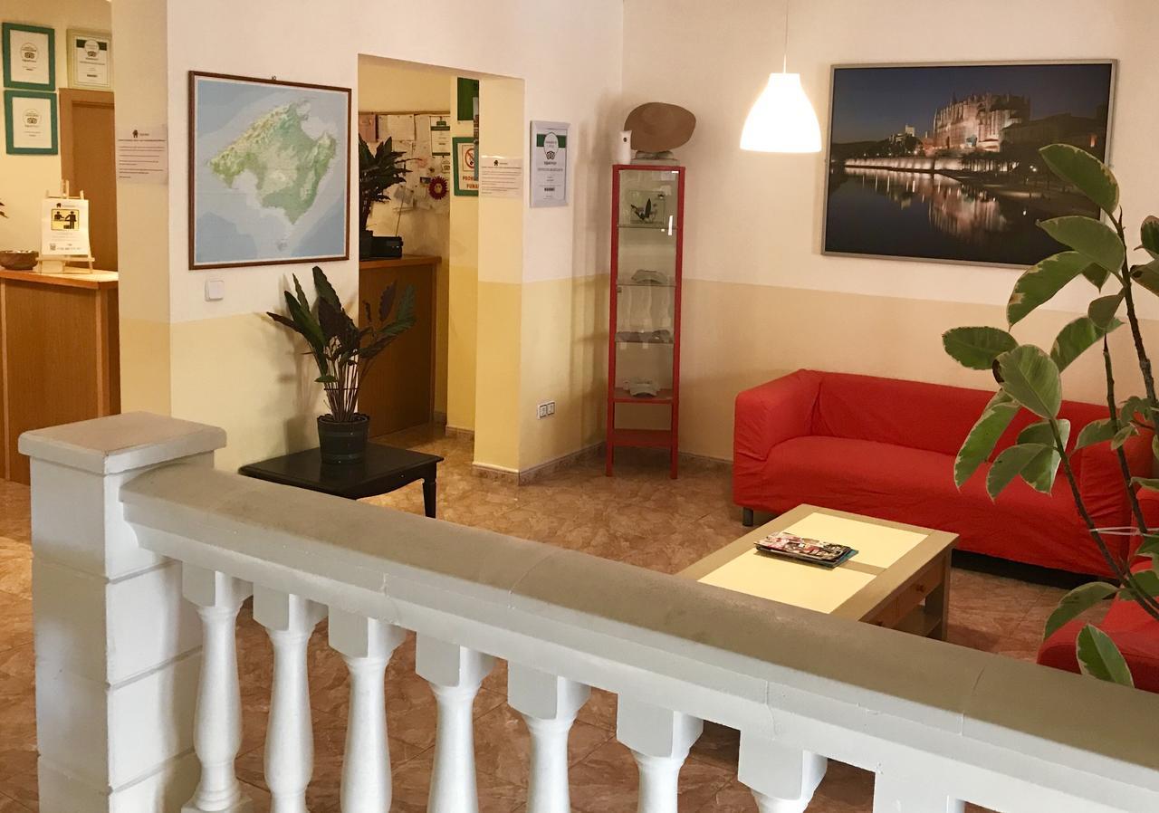 Hostal Atlanta 엘아레날 외부 사진